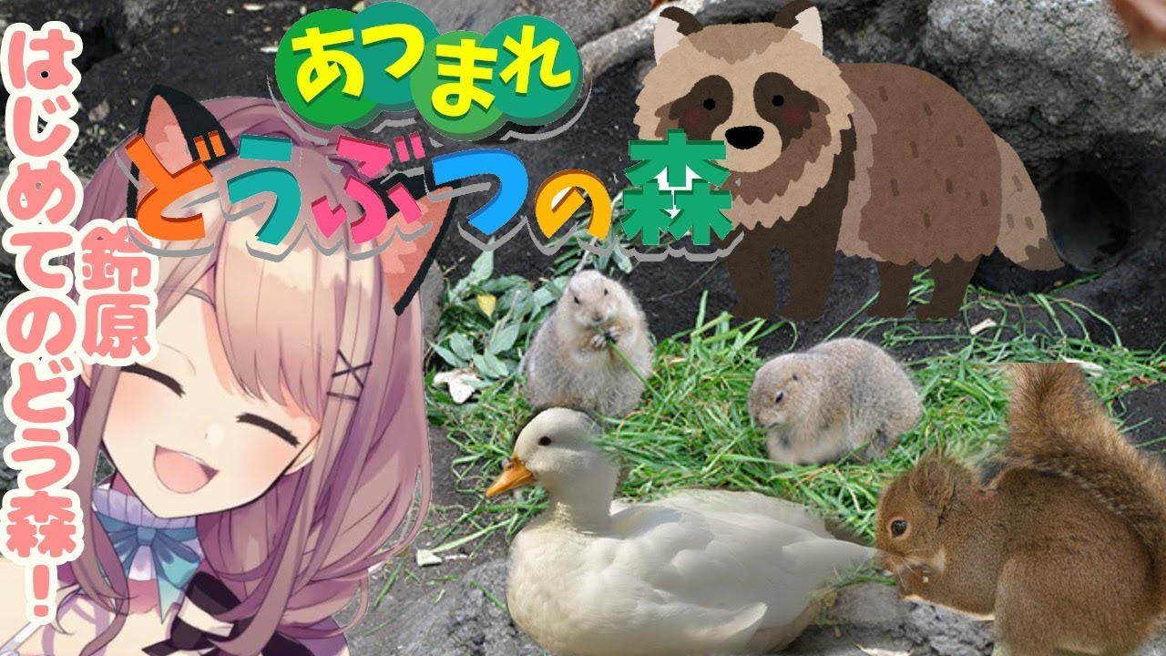 【あつまれどうぶつの森】鈴原、はじめてのどう森…やってみるるッ!!!!!!【鈴原るる/にじさんじ】